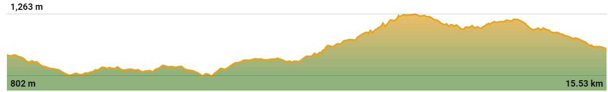 Stage 4 elevation profile